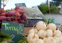 Urban Farm farmer's market